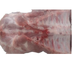 CUELLO C/H C/P (MDO-NAC) product image