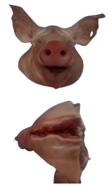 CABEZA ENTERA (MDO-NAC) product image