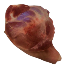 BRAZUELO C/H C/P (MDO-NAC) product image