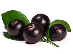 Frozen Acai Pulp 12% Solids product image