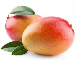 Mango Puree, 15 Brix product image