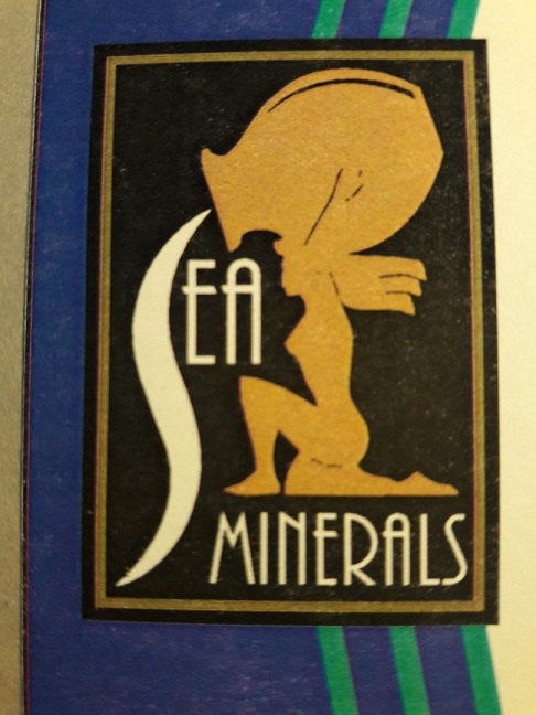 SEAMINERALS LLC logo