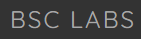 BSC Labs logo