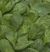 Spinach 4/1# product image
