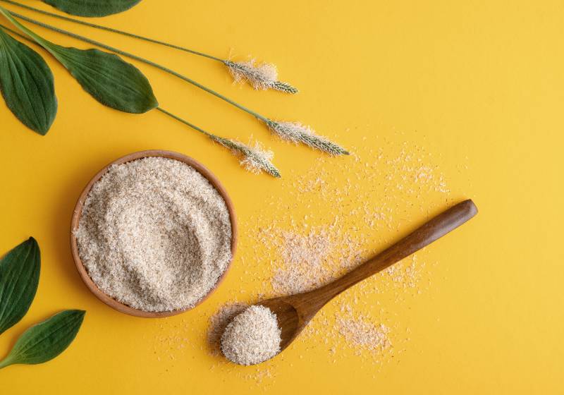 PSYLLIUM HUSK POWDER 99% PURE, 100 MESH product image