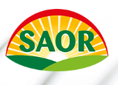 SAOR ITALIA S.R.L. logo