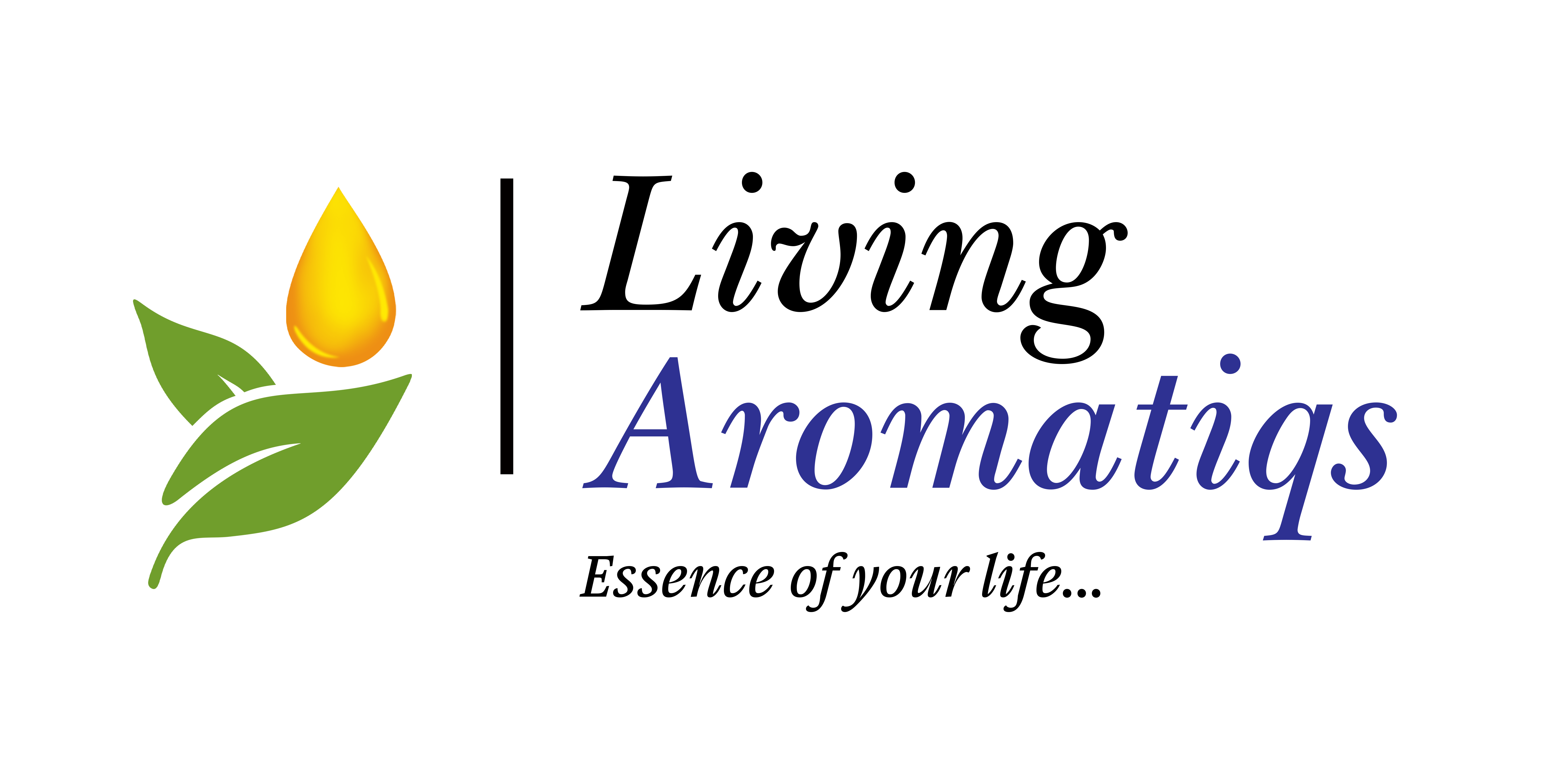 Cinnamon leaf Oil - Conventional product image