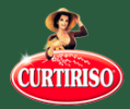 Curti Srl Con socio unico logo