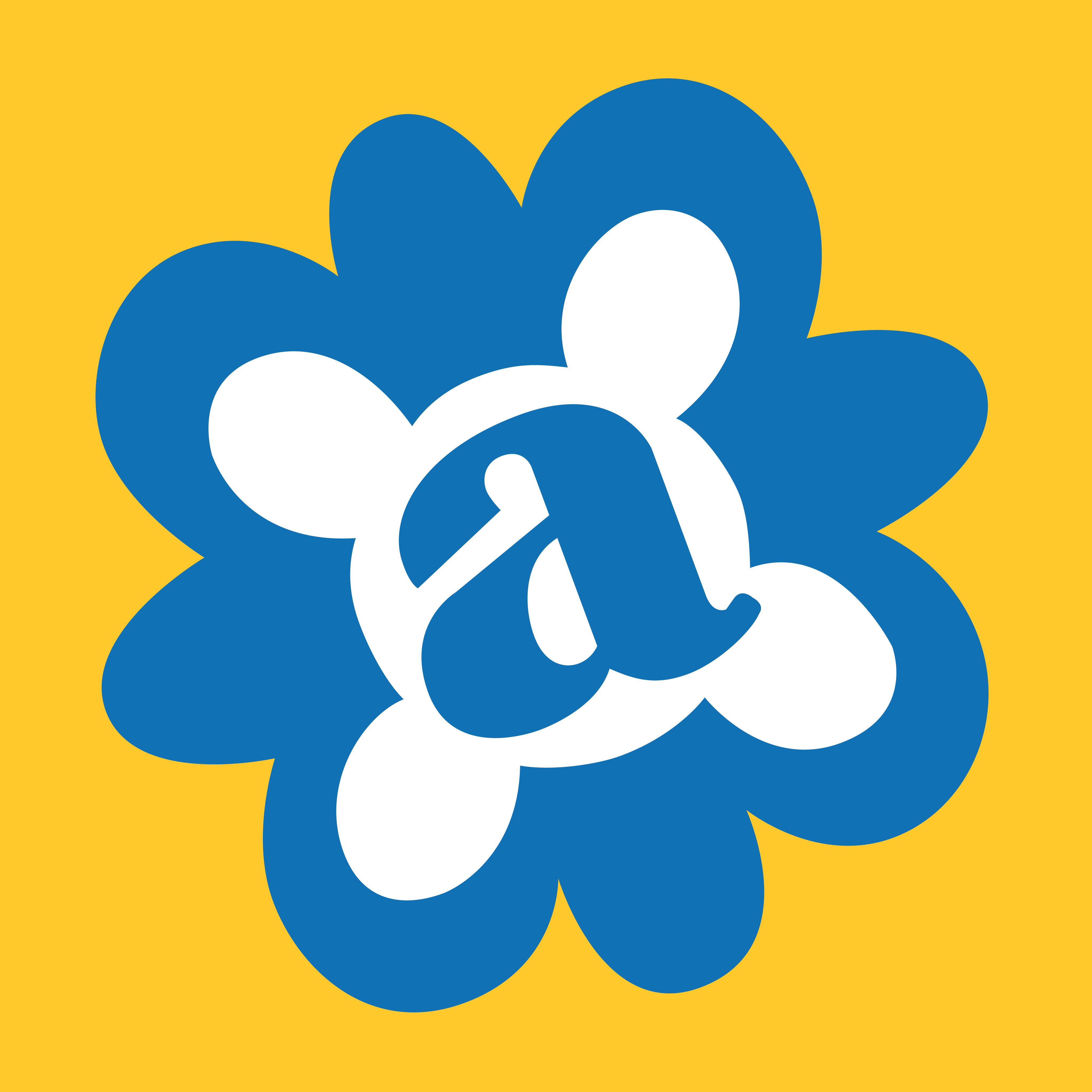 Avafina Organics Inc logo