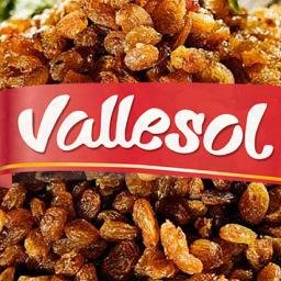 Vallesol S.A.P.E.M. logo