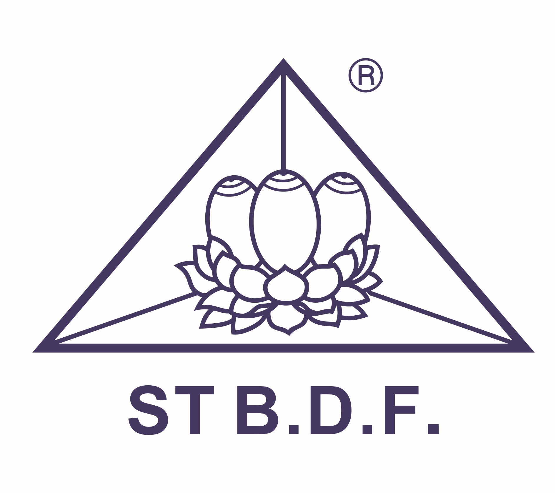 GUANGDONG SANBAO NEW MATERIALS TECH CO.,LTD. logo