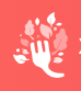 Xesty Food Co / Acceler Wireless LLC logo