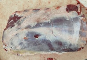 RIB EYE F product image