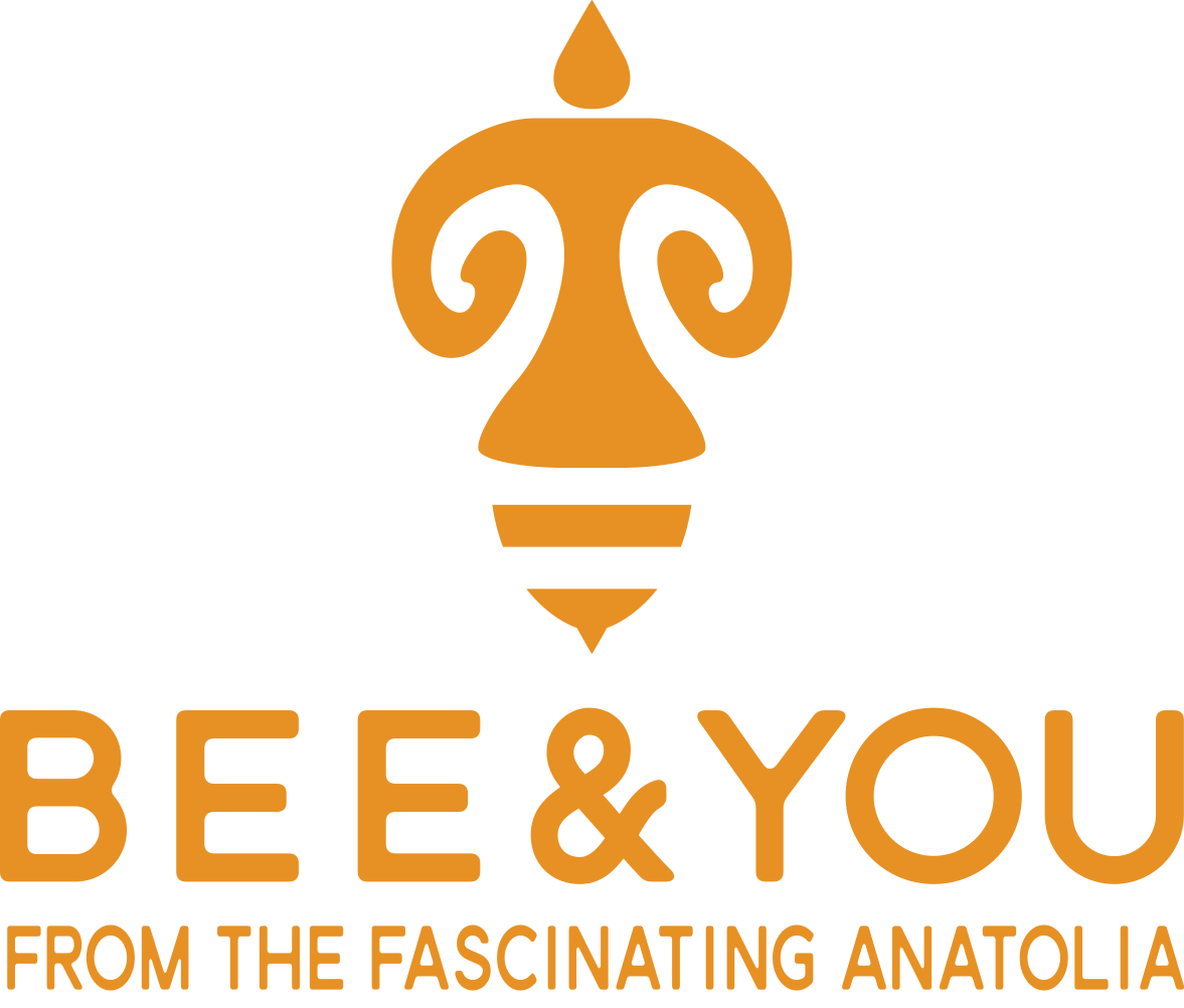 SBS AMERICAS INC logo