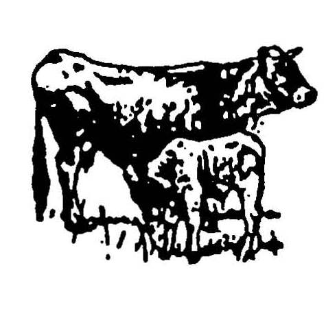 Burt Lewis International Corporation logo