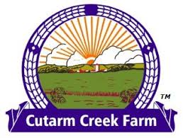 Petracek Commodities Ltd logo