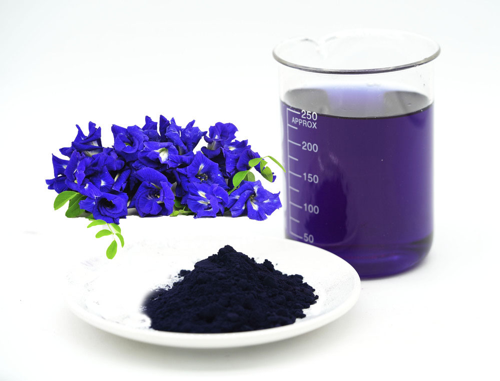Butterfly Pea flower extract product image