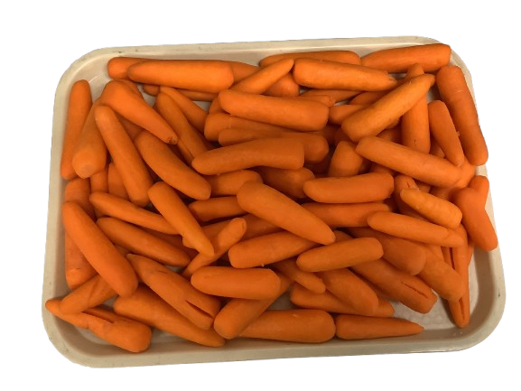 4" Peeled Carrot Chunk product image