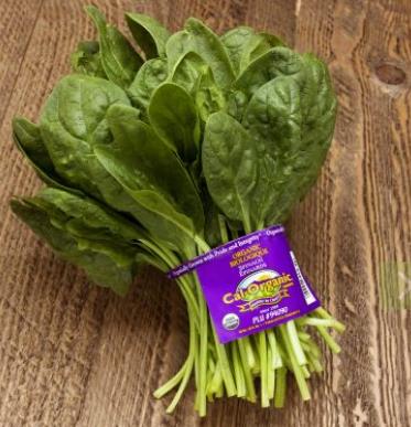 R13 product image