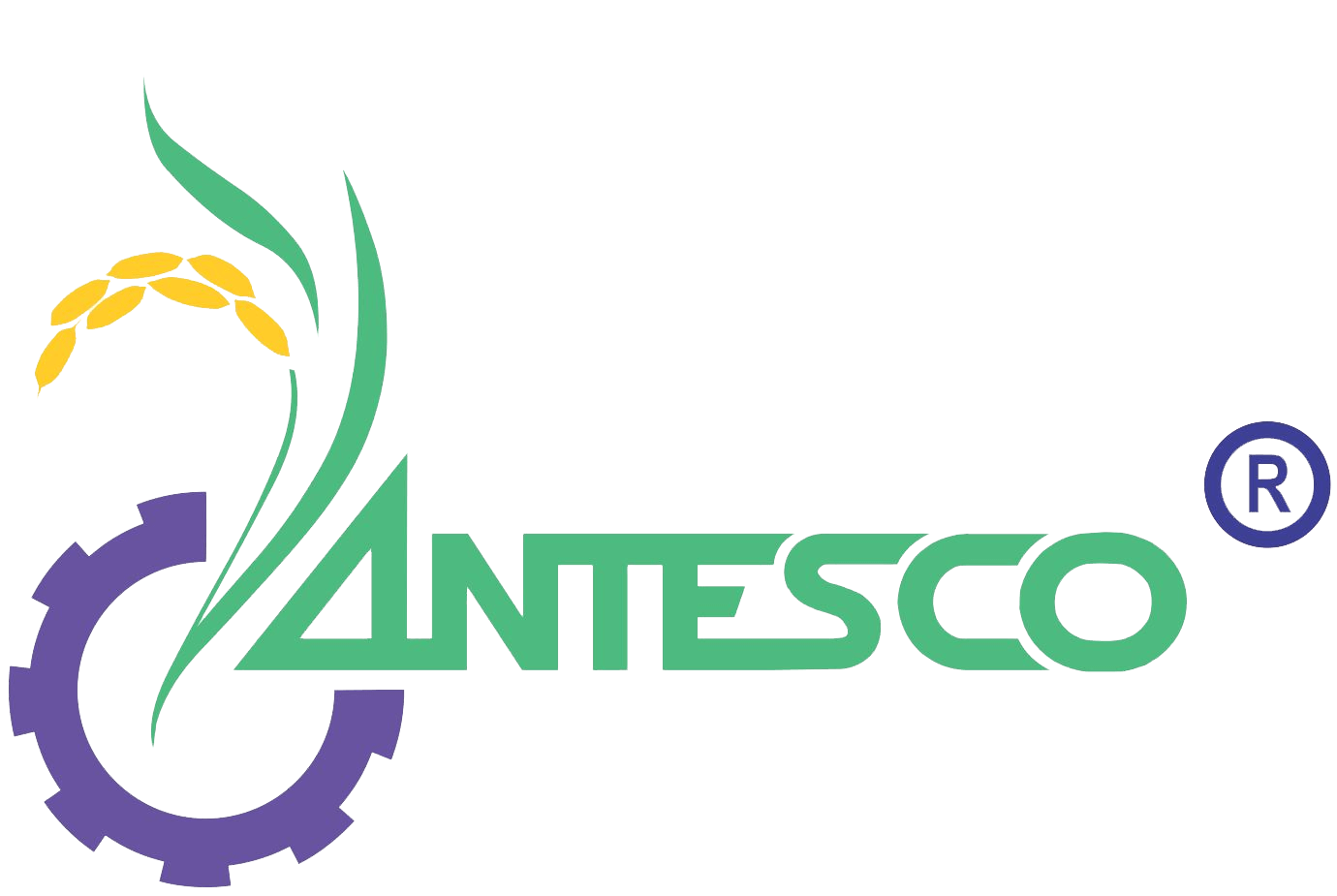 An Giang Fruit-Vegetables & Foodstuff Joint Stock logo
