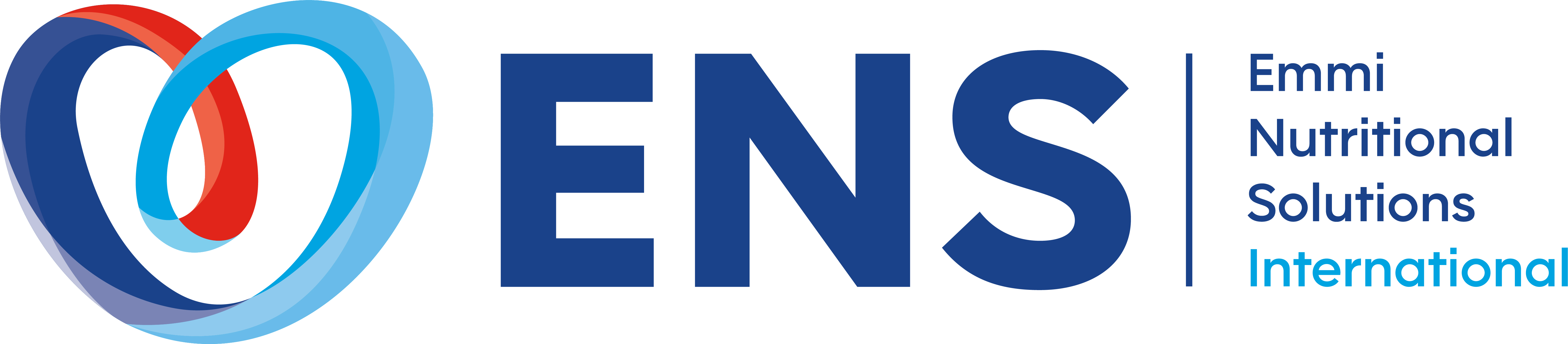 ENS International logo