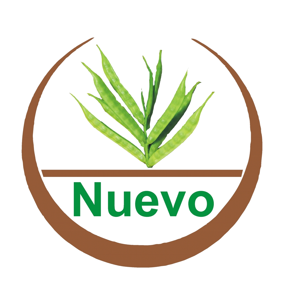 NUEVO POLYMERS PRIVATE LIMITED logo