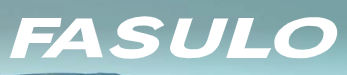 Fasulo SRL logo