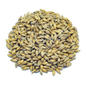 HighKiln - Brühmalt product image