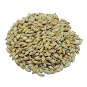 HighKiln - Munich product image