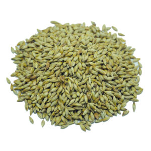 Roasted - Olfaction product image