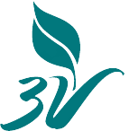 3V Company Inc. logo