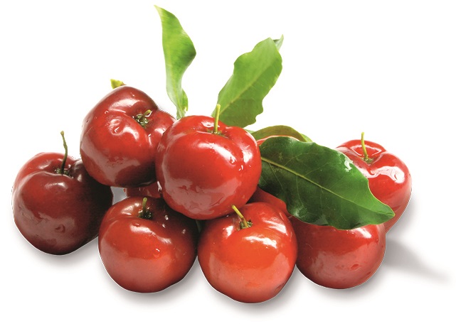 Acerola Powder Extract 4:1 product image