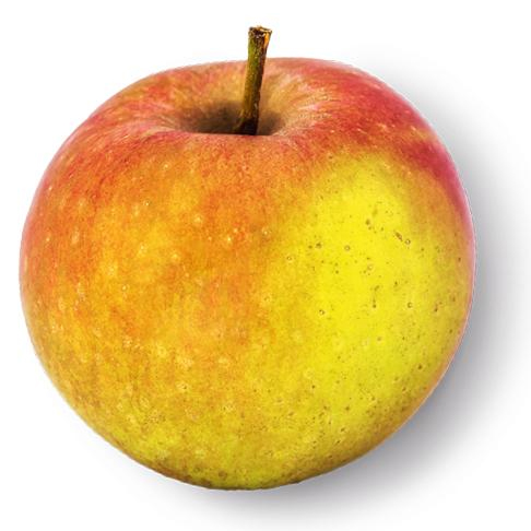 Organic Apple Powder (High Fiber) product image