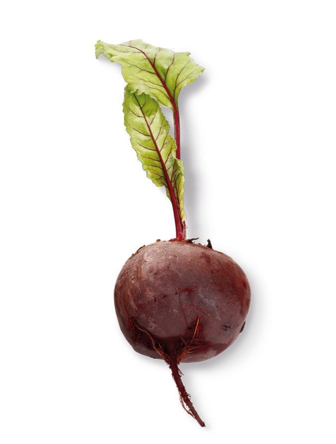 Beet Root Powder product image