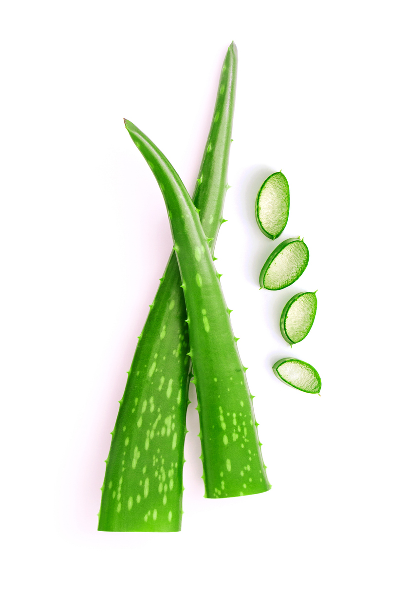 Cape Aloe Leaves Latex Powder product image