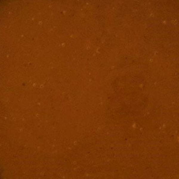 Hazelnut Paste Dark Roasted product image