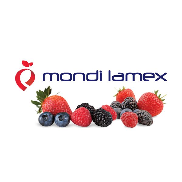 Mondi Lamex logo