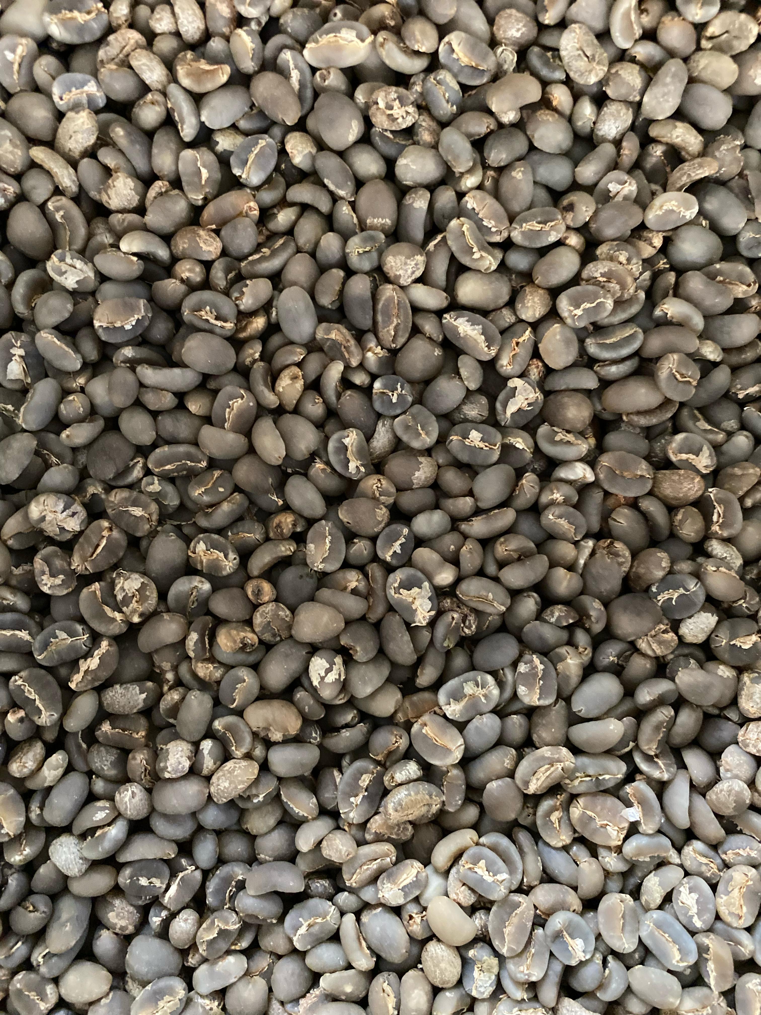 Green Coffee Beans product image
