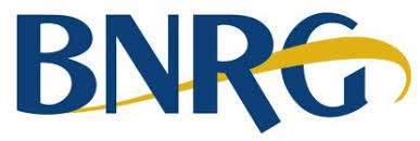 BioNutritional Research Group logo
