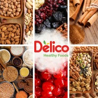 CORPORACION DELICO logo