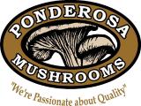 Ponderosa Trading Company Ltd. logo