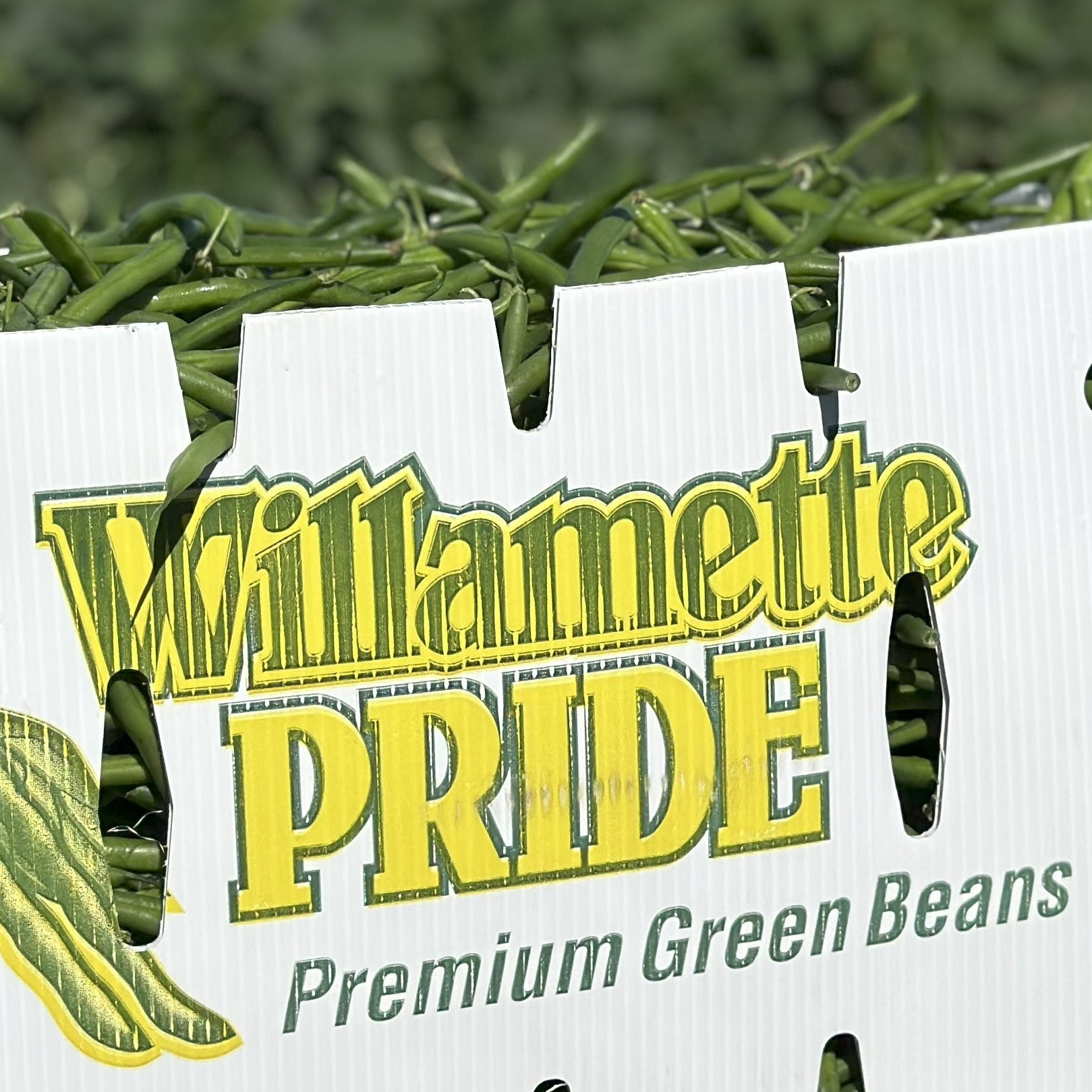 Green Beans product image