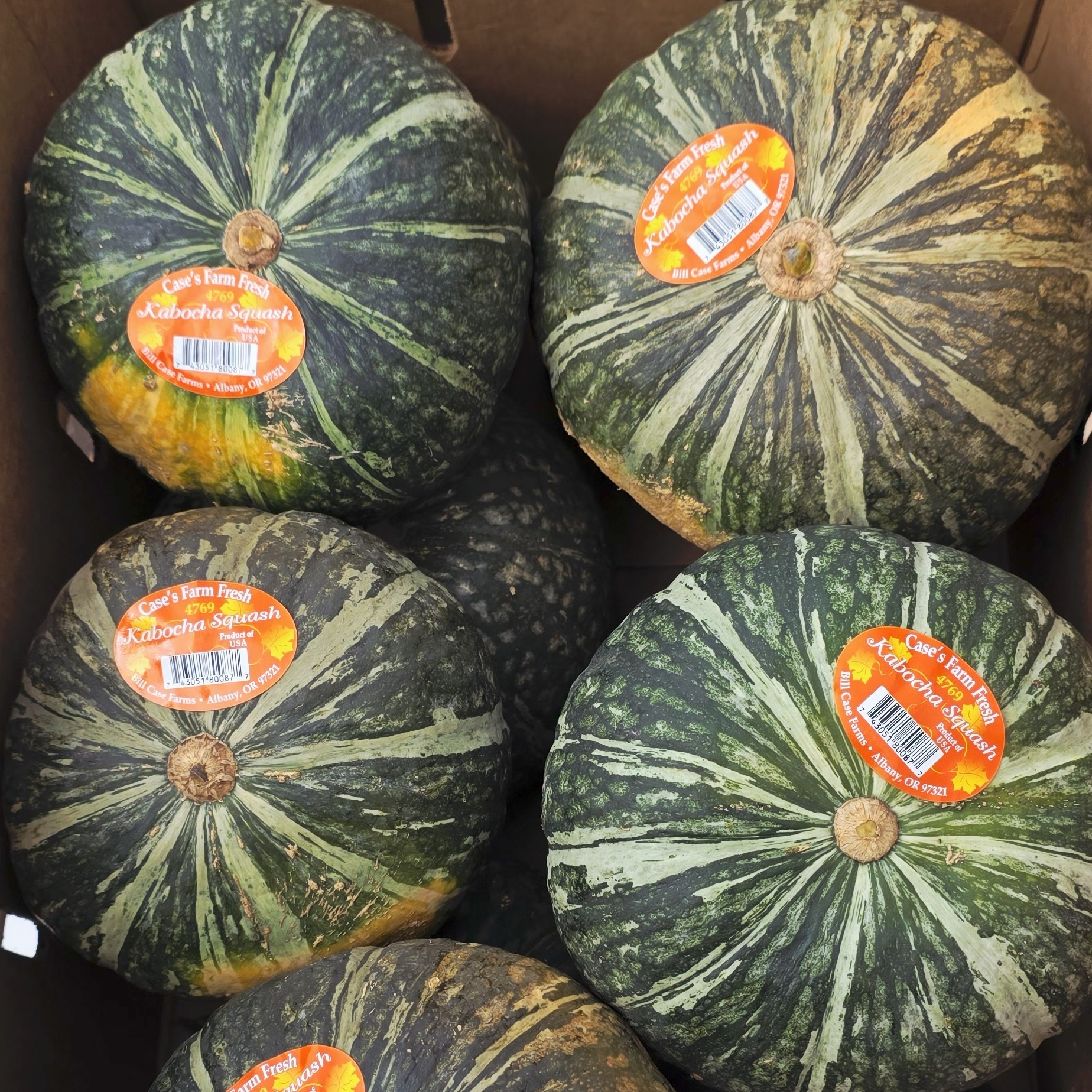 Squash, Kabocha - fresh, boxed product image
