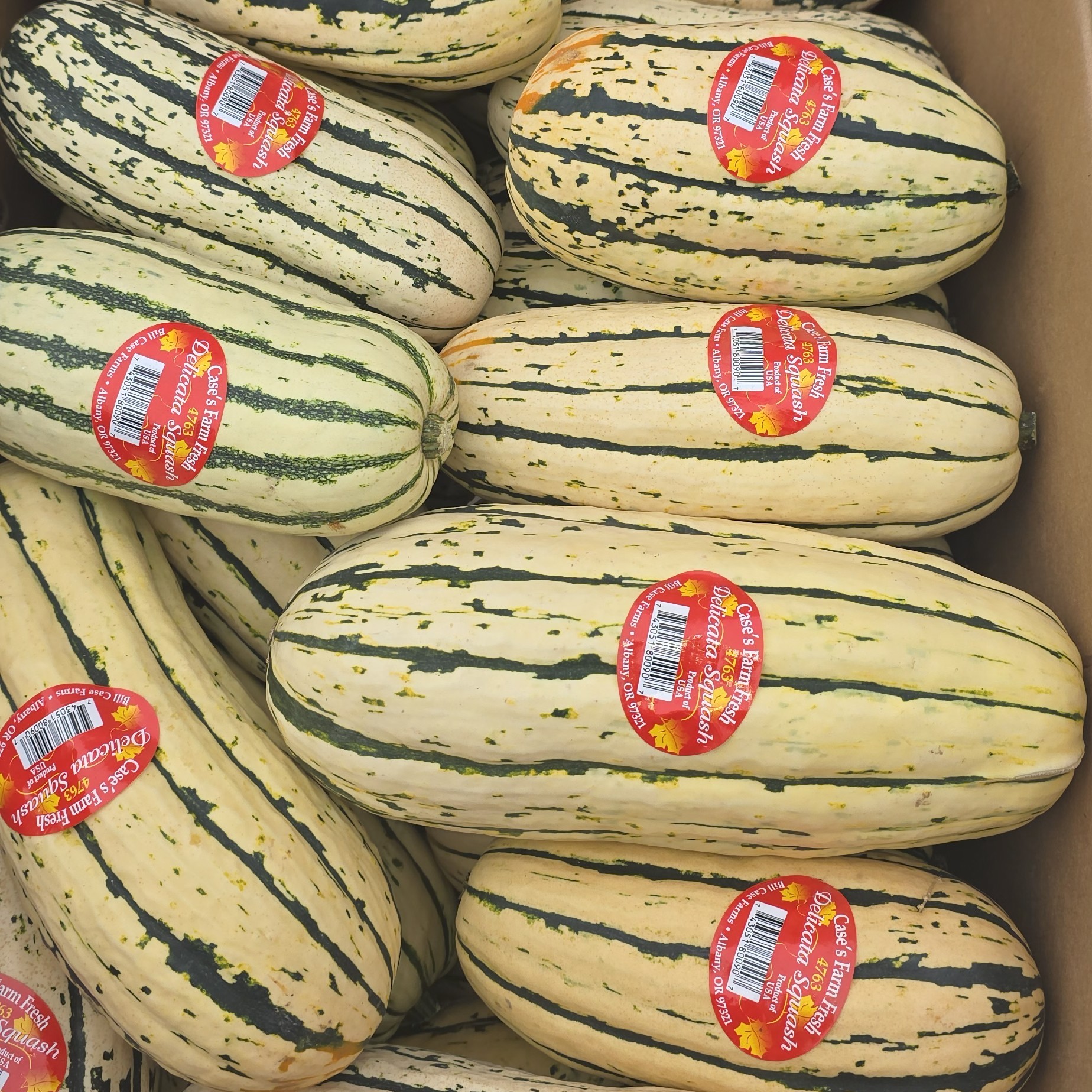 Squash, Delicata - fresh, boxed product image