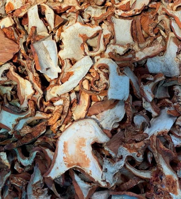 Dried Lobster Mushroom product image