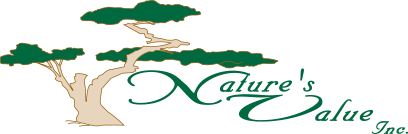 Nature's Value Inc. logo