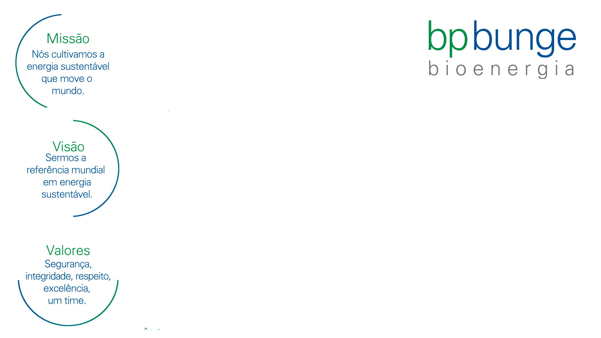 BPBunge Bioenergia logo