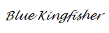 Blue Kingfisher logo