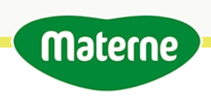 Materne-Confilux S.A. Belgium logo