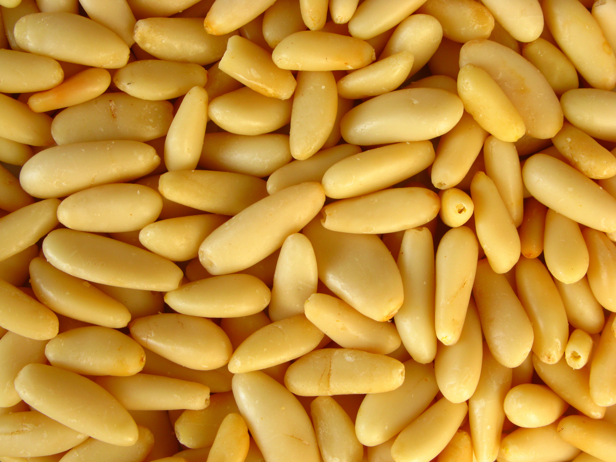 Chinese Pinenut Kernels - 950 ct - Grade A Medium product image